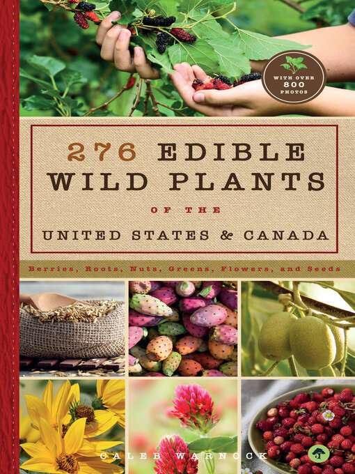Cover image for 276 Edible Wild Plants of the United States and Canada